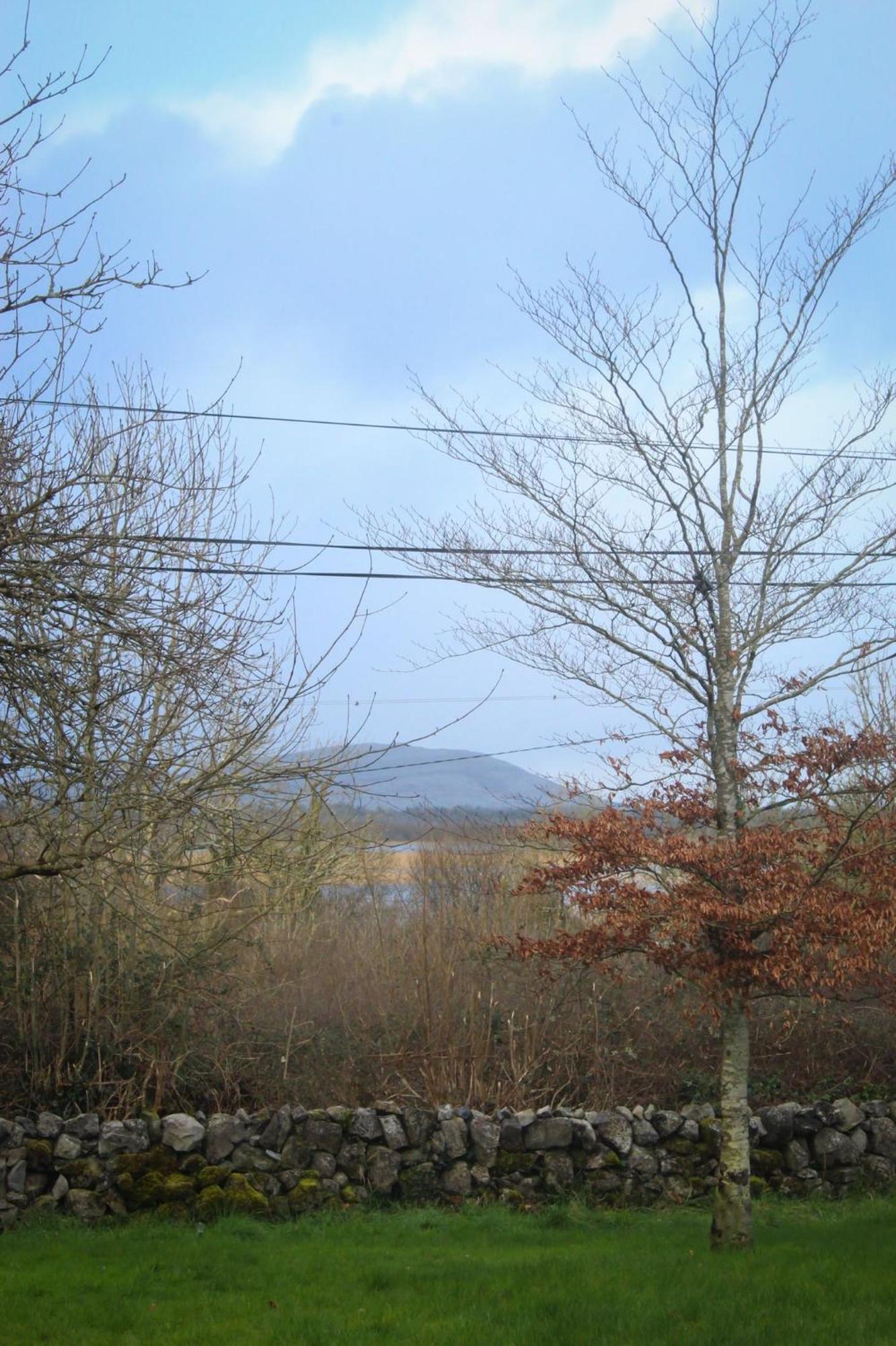 Riverside Cottage In The Burren Corofin  Exteriér fotografie